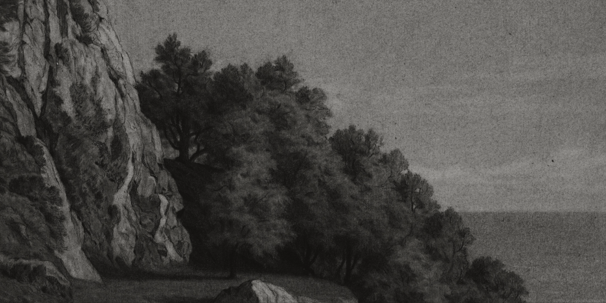 Rocky coastal landscape with cropping of trees in black and white