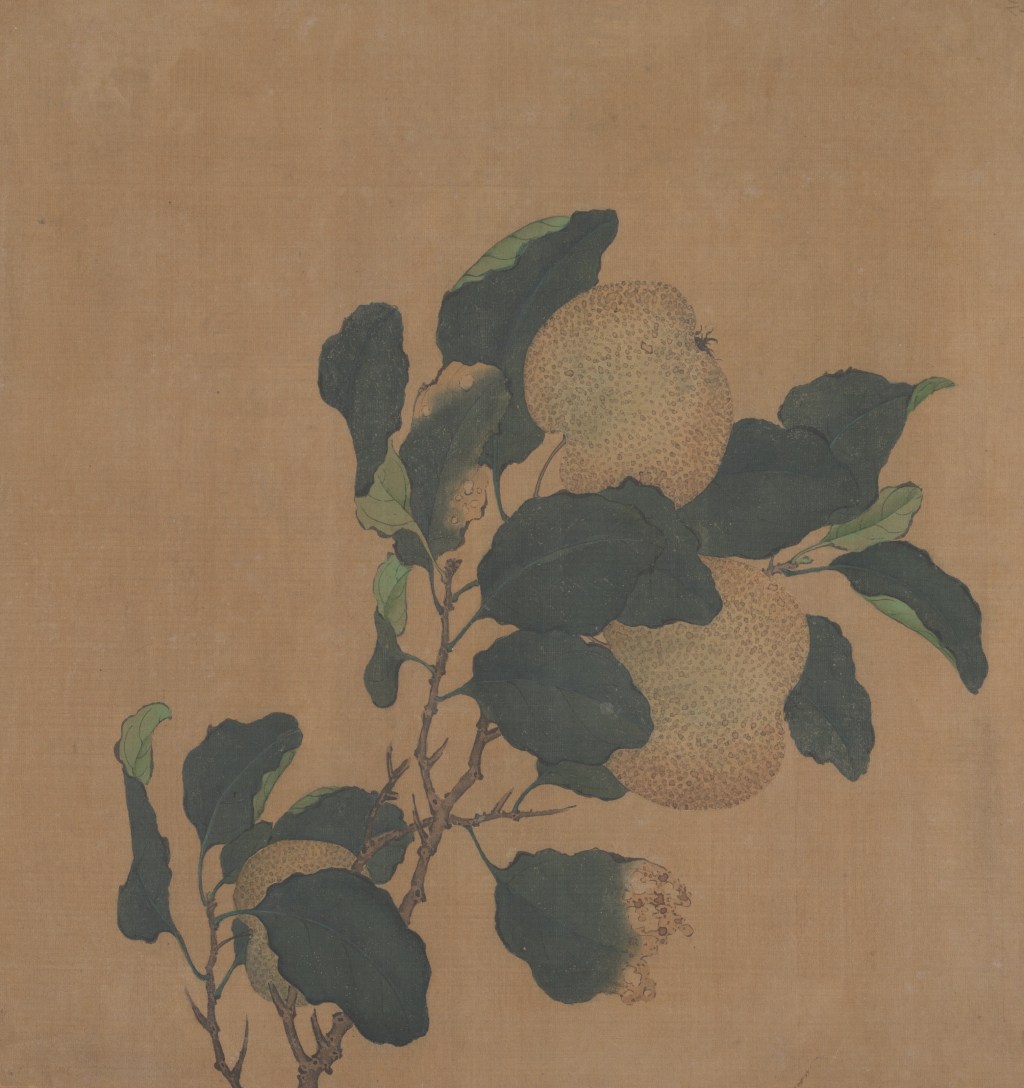 Content With What I&nbsp;Have